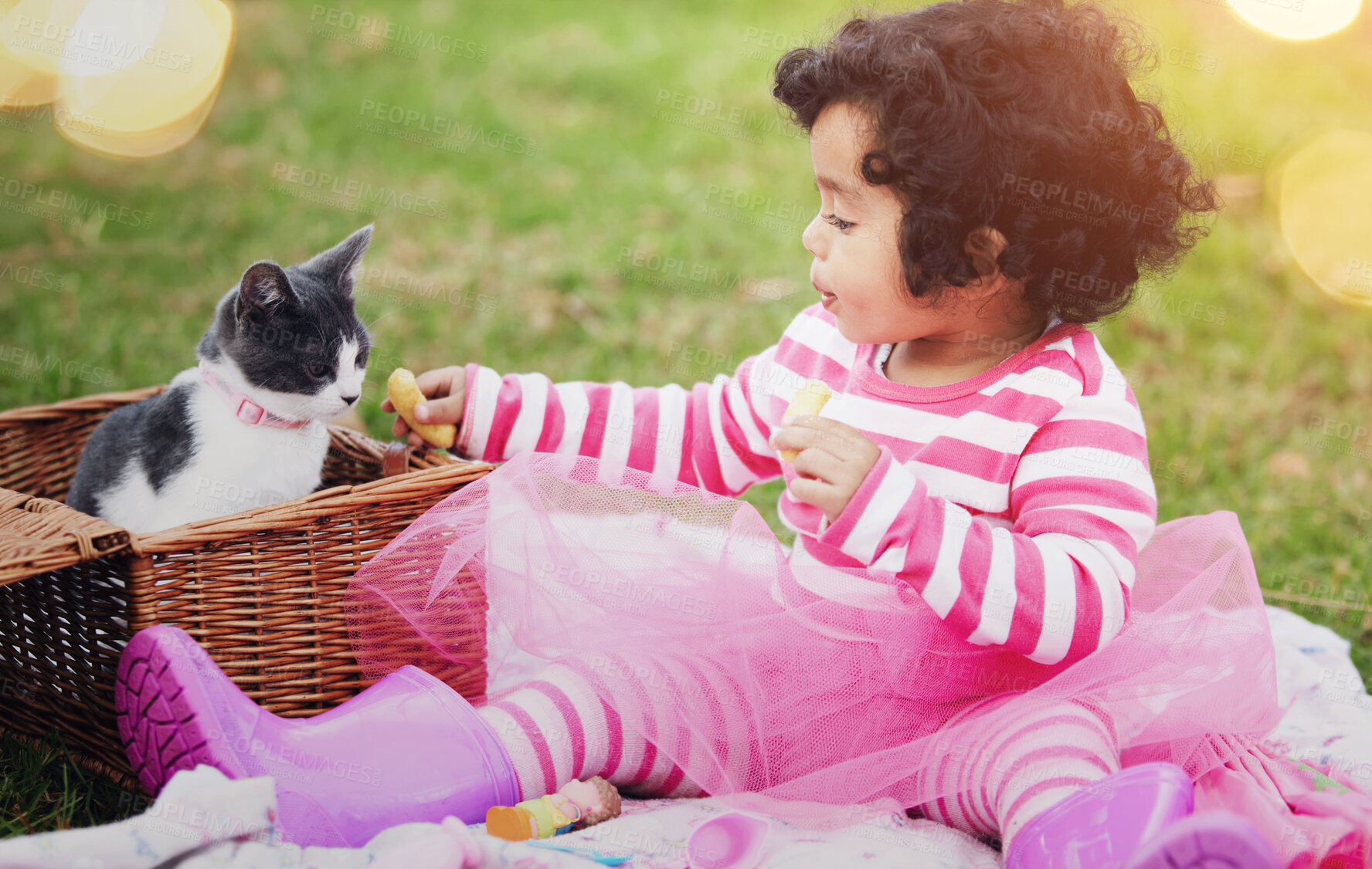 Buy stock photo Food, picnic and a girl in the park with her kitten together for love, care or bonding during summer. Chips, cat and kids with a happy young child feeding her pet animal a snack in the garden