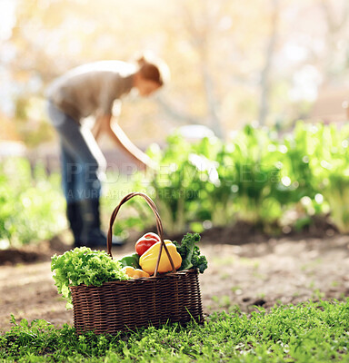 Buy stock photo Shot of an attractive young woman in the park on an autumn day