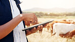 Cellphone, hand and farmer in field with livestock for agriculture, eco friendly and sustainability business. Phone, nature and supplier checking cattle stock for free range animals in countryside.