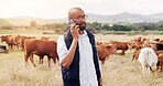 Agriculture, phone call and cow with black man on farm for sustainability, communication and livestock supplier. Growth, cattle and contact with person in countryside for networking and animal ranch