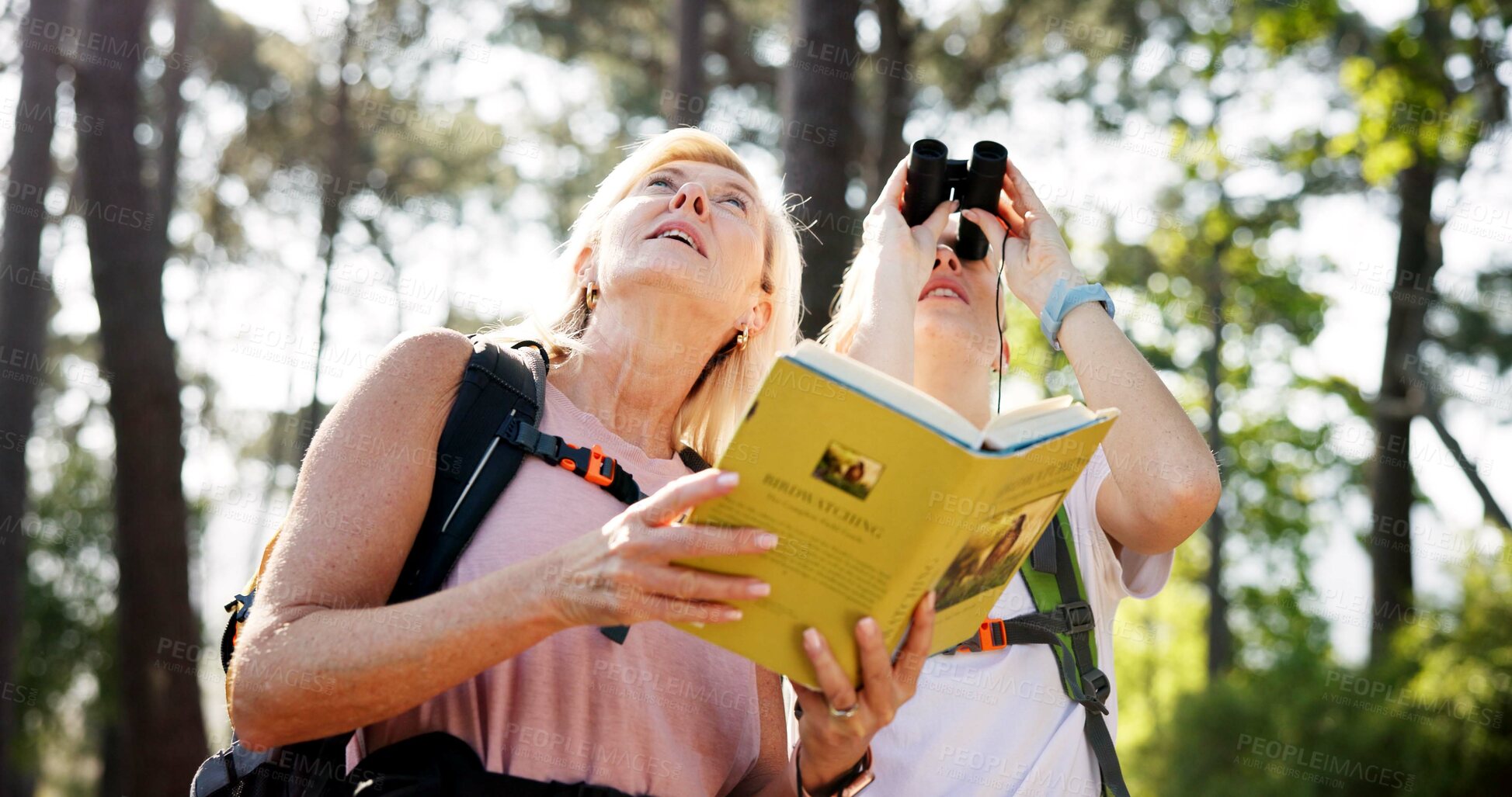 Buy stock photo Women, book and hiking with binoculars in forest for bird watching, sightseeing or outdoor discovery in nature. Female people, friends or hikers with textbook for tourism, trekking or observation