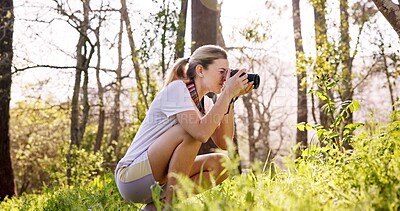 Buy stock photo Woman, photographer and nature with camera for sightseeing, bird watching or observation in forest. Young, female person or hiker with photography in woods for picture, memory or outdoor photoshoot