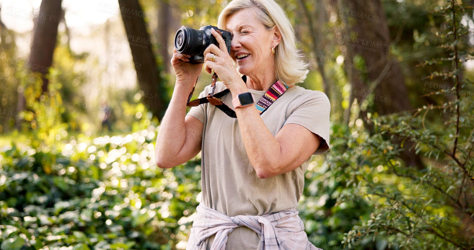 Buy stock photo Travel, camera and mature woman in forest for adventure guide, wildlife photography or trekking. National park, environment and birdwatching with person hiking in nature for field research or explore