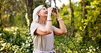 Hiking, binoculars and mature woman in forest for adventure guide, wildlife conservationist and trekking. National park, environment and birdwatching with person explore in nature for field research