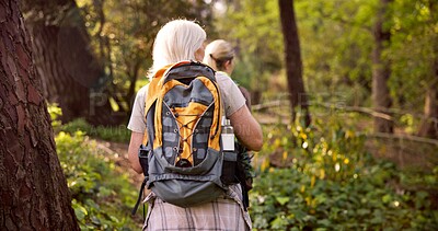 Buy stock photo Women, hiking and forest with backpack for adventure, sightseeing or travel together in nature. Back view, female people or hikers with trees, bag or equipment for outdoor trekking journey in woods