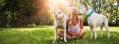 Buy stock photo Shot of a young woman with her two dogs at the park