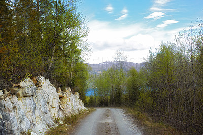 Buy stock photo Nature, trees and trail with path for adventure, destination and outdoor location for hiking journey. Dirt road, sustainability and eco with growth for travel, wilderness and landscape in Switzerland