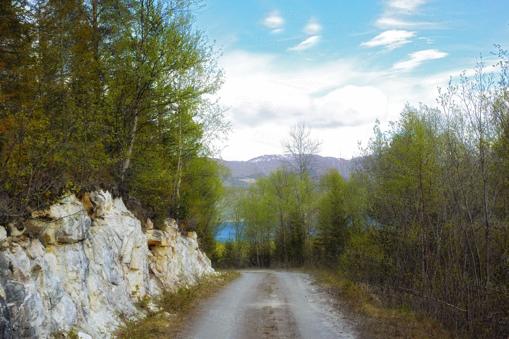 Buy stock photo Nature, trees and trail with path for adventure, destination and outdoor location for hiking journey. Dirt road, sustainability and eco with growth for travel, wilderness and landscape in Switzerland