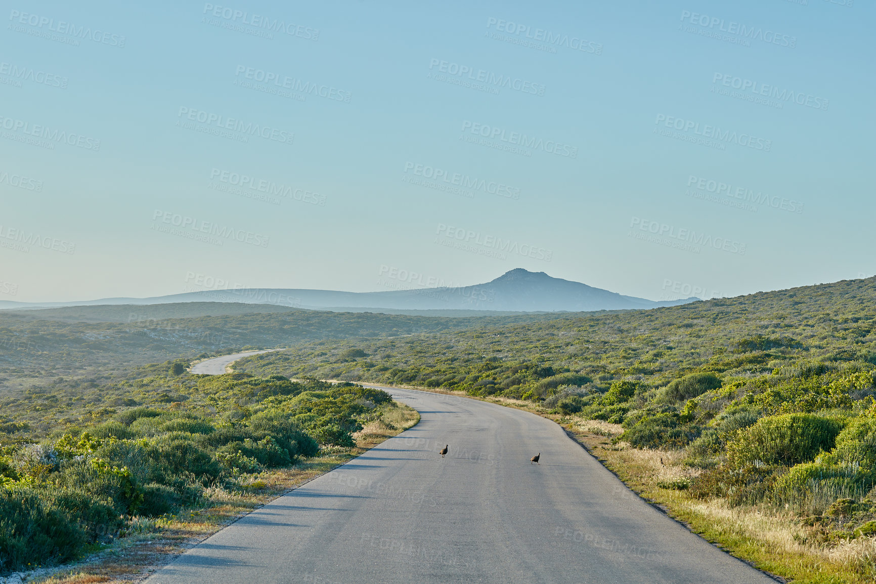 Buy stock photo Road, landscape and nature with environment in countryside for travel, roadtrip and adventure with mockup space. Sky, birds and street for holiday journey, destination and tourism with outdoor field