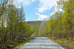 Nature, trees and road with highway for adventure, destination and outdoor location for holiday journey. Driveway, sustainable and ecology with growth for plants, travel and landscape in Switzerland