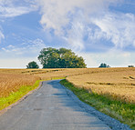 Road, landscape and field with environment in countryside for travel, roadtrip and adventure with blue sky. Clouds, nature and street for holiday journey, destination and tourism with outdoor scenery