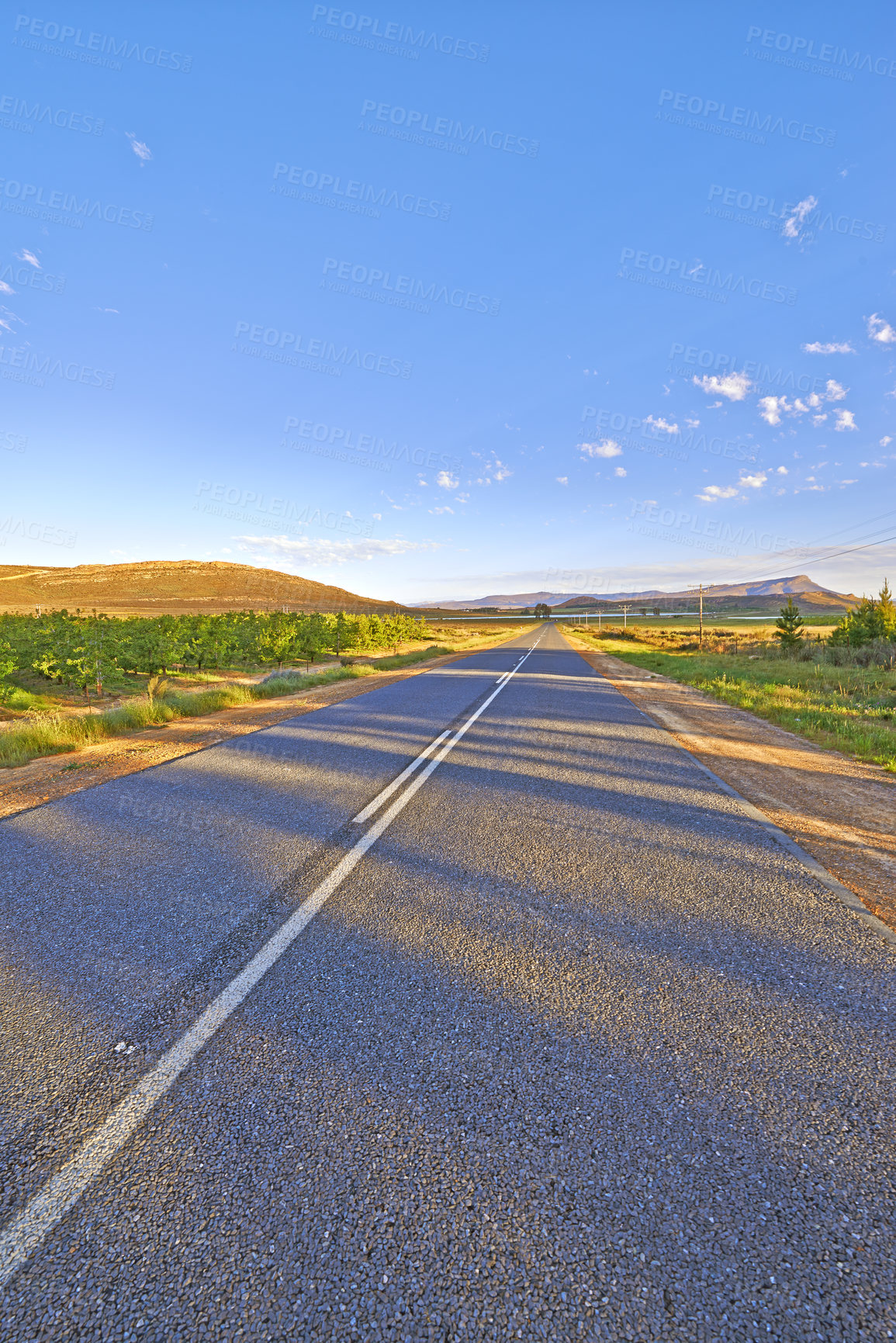 Buy stock photo Nature, summer and road with highway for adventure, destination or outdoor location for holiday journey. Driveway, sustainability or ecology with growth for plants, travel or landscape in Switzerland