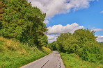 Road, landscape and woods with environment in countryside for travel adventure, roadtrip or driveway with clouds. Sky, trees and street for holiday journey, destination or tourism with outdoor field