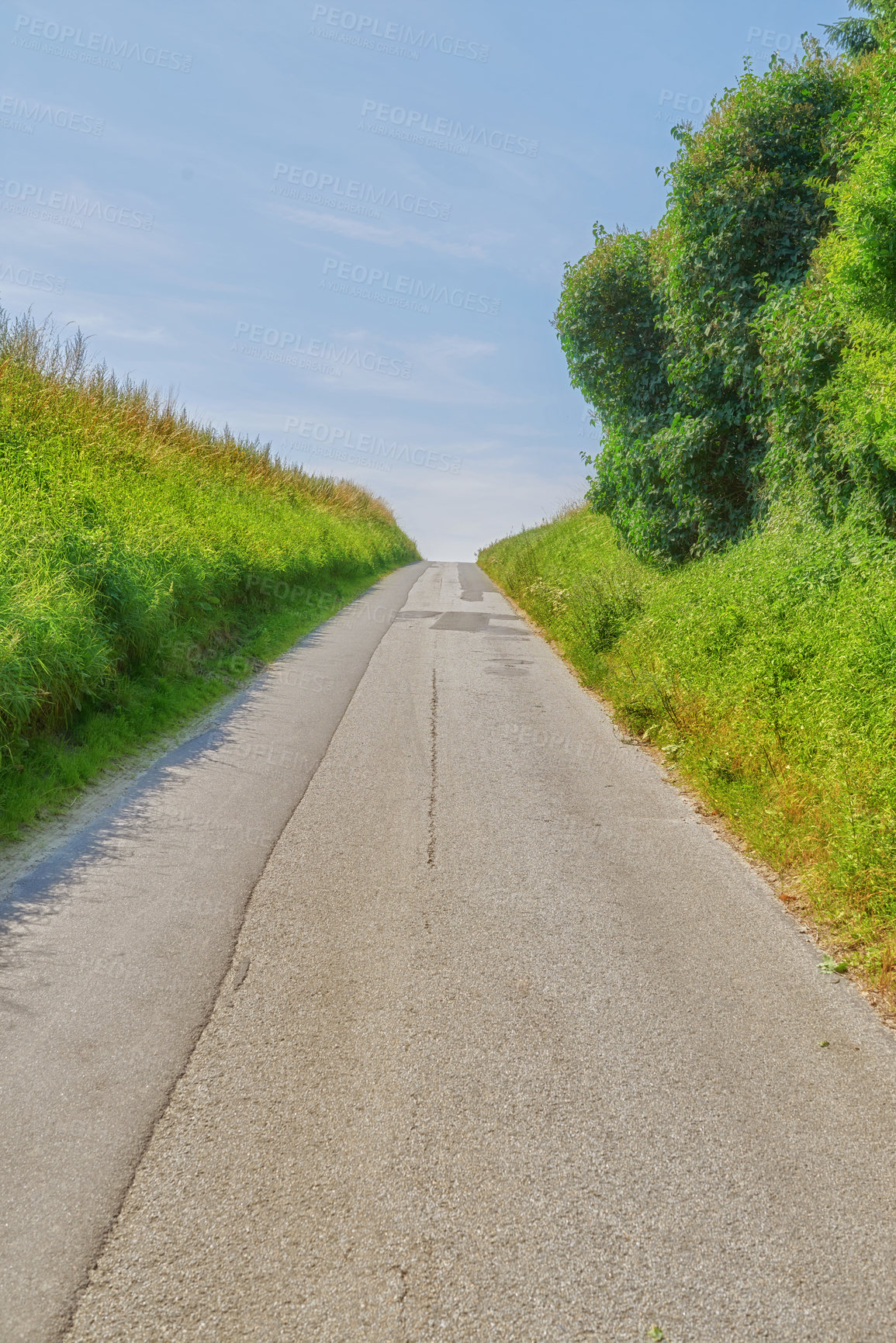 Buy stock photo Road, landscape and blue sky with environment in countryside for travel adventure, roadtrip or driveway. Forest, trees or street for holiday journey, destination or tourism with field for sightseeing