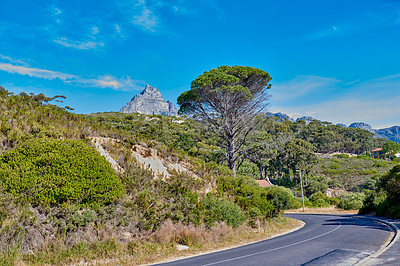 Buy stock photo Outdoor, nature and road with driveway for adventure, destination and location for holiday journey. Landscape, sustainability and ecology with growth for green plants, trees and travel in Switzerland