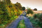 Outdoor, nature and path with trail for adventure, destination and location field for hiking journey. Countryside, sustainability and ecology with growth for plants, landscape and travel in Australia