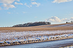 Nature, farm and snow with road for adventure, destination and outdoor location for winter journey. Pathway, sustainability and ecology with frosty field for plants, landscape and travel in Canada