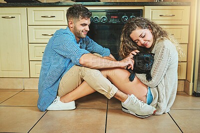 Buy stock photo Happy couple, pet and play with dog on kitchen floor for care, morning and love for cute puppy. Man, woman and relax with pug animal for game, connection or bonding together for relationship in home