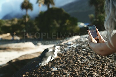 Buy stock photo Phone, photography and woman take picture in nature on holiday, vacation and explore outdoors. Tourism, adventure and person with photo for social media, memory and online post for travel blog