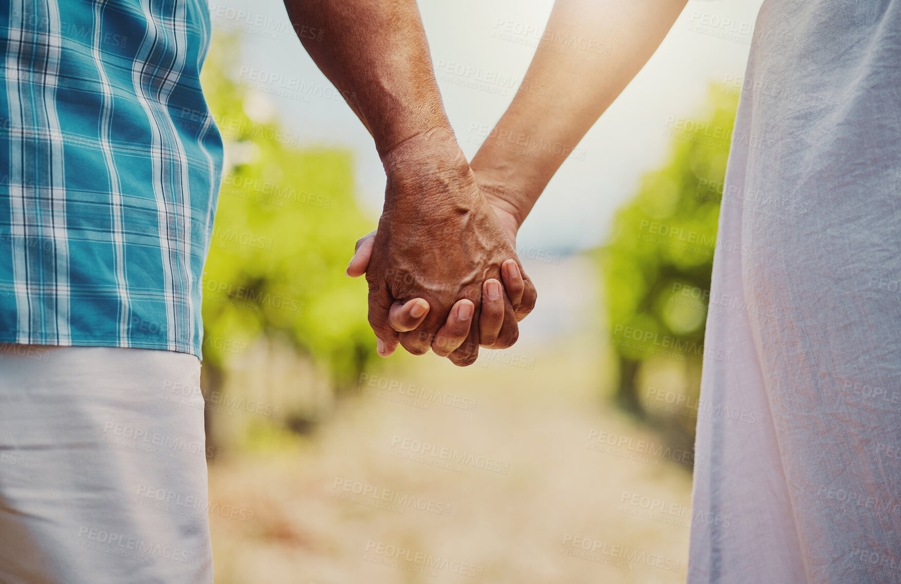 Buy stock photo Holding hands, closeup and outdoor as married couple for support, love or affection in vineyard. Mature people, zoom and garden in bonding together, romantic date or getaway for anniversary in nature