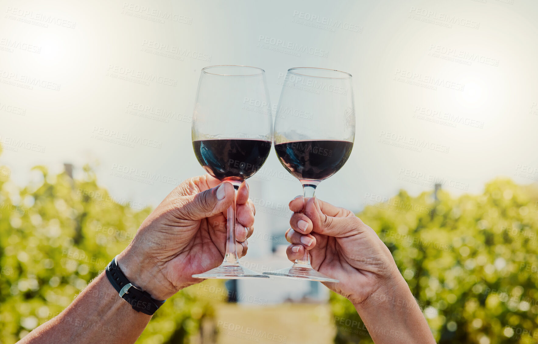 Buy stock photo Wine tasting, glass and hands for toast with vineyard, farmer and outdoor for celebration. Alcoholic beverage, agriculture people cheers and luxury drinks with countryside, social event and winery