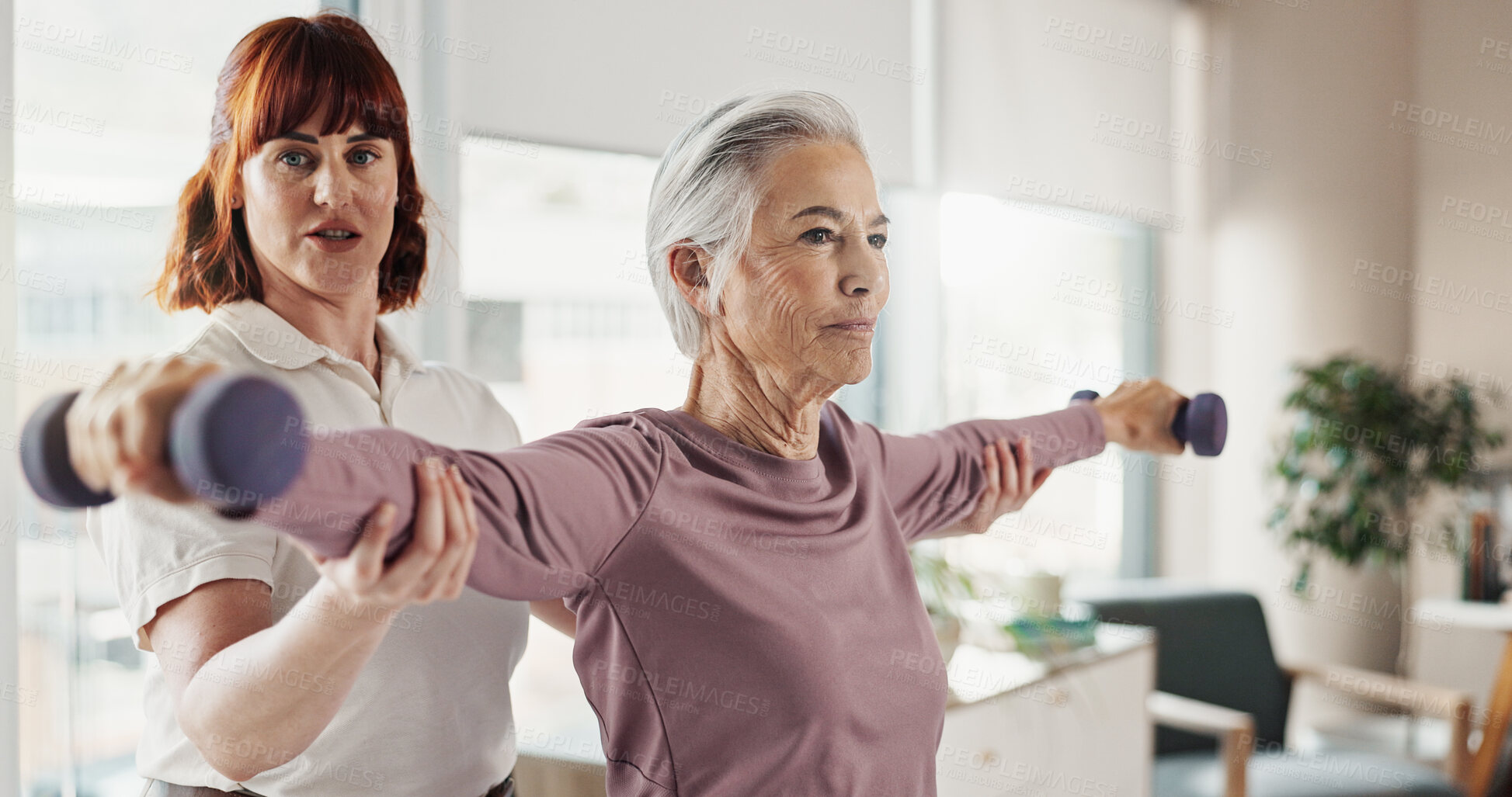Buy stock photo Stretching, physiotherapist and senior woman with weights for wellness, mobility and physical therapy. Healthcare, medical care and person with mature patient for strength, rehabilitation and support