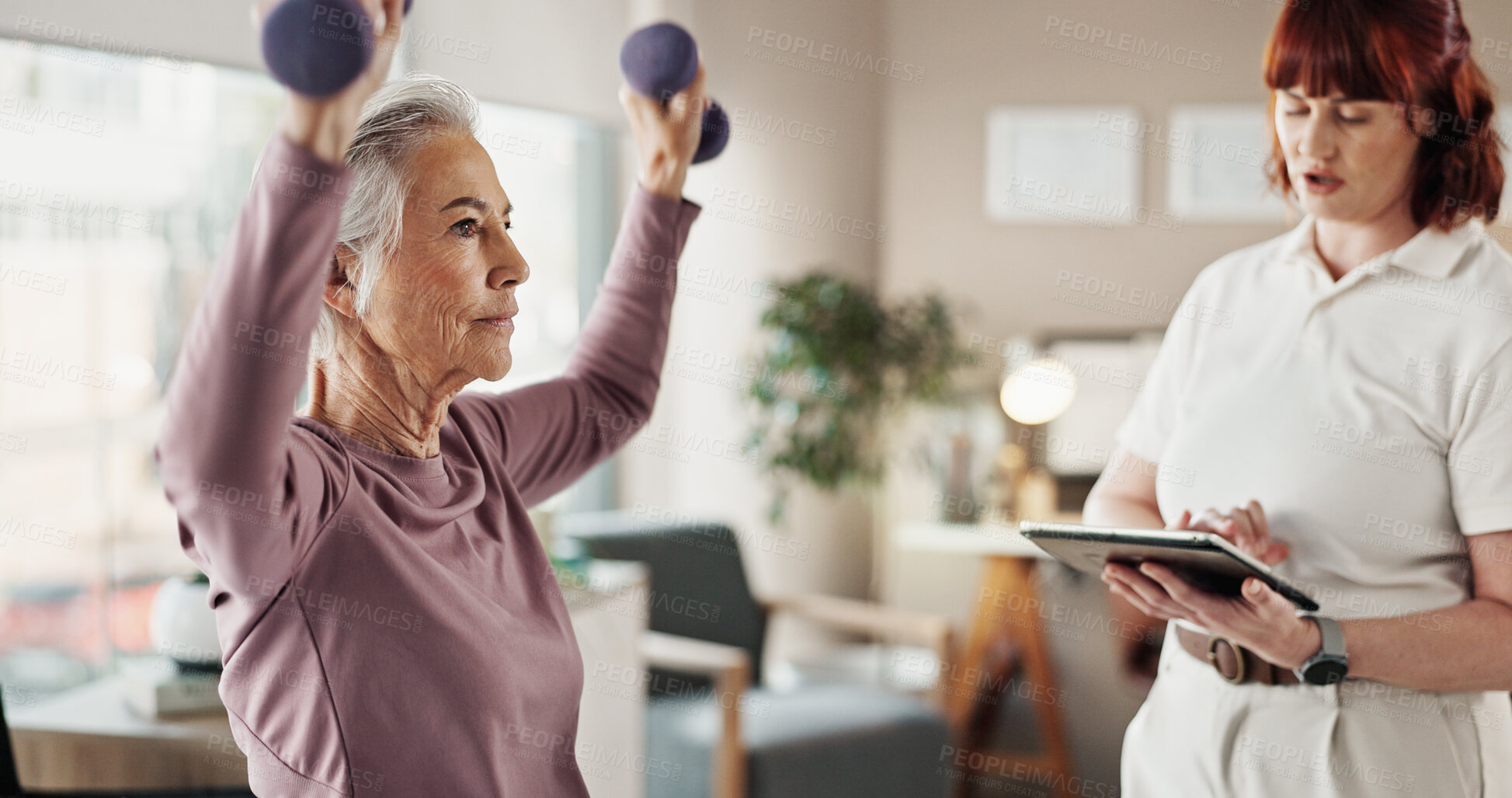 Buy stock photo Tablet, physiotherapist and senior woman with weights for wellness, mobility and physical therapy. Healthcare, medical consultation and person with mature patient for strength, rehabilitation or help