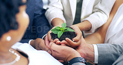 Buy stock photo Teamwork, hands and plant with soil, growth and hope for sustainability and future. Business people, environment and leaf for support, accountability and eco development or green energy collaboration