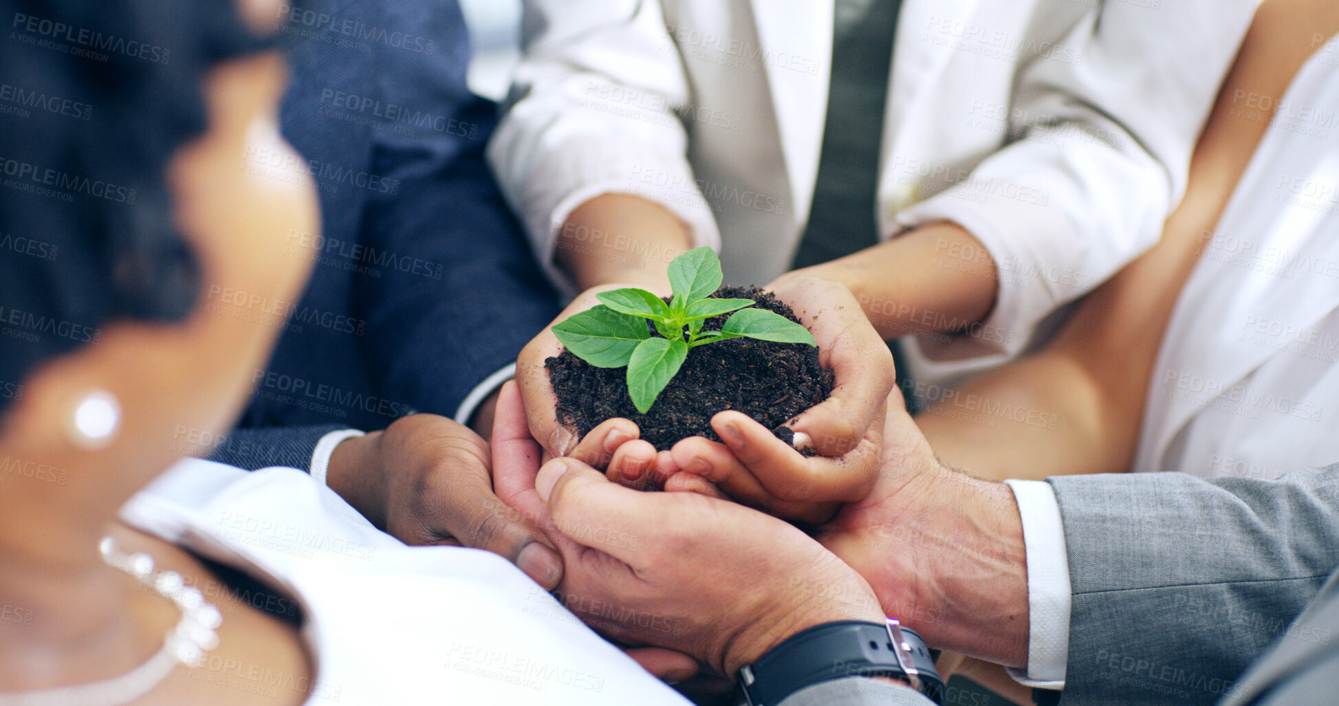 Buy stock photo Teamwork, hands and plant with soil, growth and hope for sustainability and future. Business people, environment and leaf for support, accountability and eco development or green energy collaboration