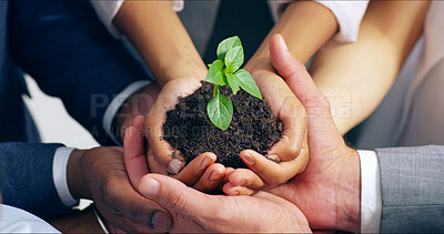 Buy stock photo Business people, hands and plant with soil, growth and hope for sustainability and future. Teamwork, environment and leaf for support, accountability and eco development or green energy collaboration