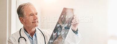 Buy stock photo Cropped shot of a mature doctor holding up an x-ray to examine it