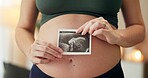 Hands, house and pregnant woman with ultrasound, maternity and wellness in living room. Closeup, pregnancy and girl with baby scan, apartment and excited for future, growth and prenatal with sonogram