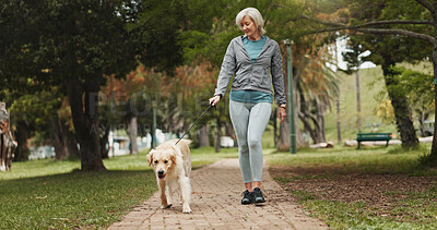 Buy stock photo Walking, dog and fitness with old woman in park for pet training, adventure and health. Animal care, support and morning with person and Labrador pet in nature for bonding, guide and wellness