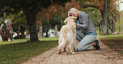 Buy stock photo Love, dog walking and relax with old woman in park for training, adventure and health. Animal care, support and morning with person and Labrador pet in nature for bonding, guide and wellness.