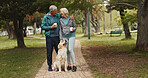 Dog walking, hug and old couple in park together for outdoor fitness, health or wellness. Embracing, exercise or hobby with senior man and woman training pet Labrador in nature for animal obedience