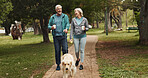 Walking, dog and fitness with old couple in park for training, retirement and health. Animal care, support and morning with man and woman with Labrador pet in nature for love, guide and wellness