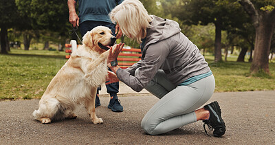 Buy stock photo Senior couple, dog or training in park for pet care, obedience or trust in relationship. People, animal adoption or outdoor with Golden retriever for behavior development, exercise or high five trick