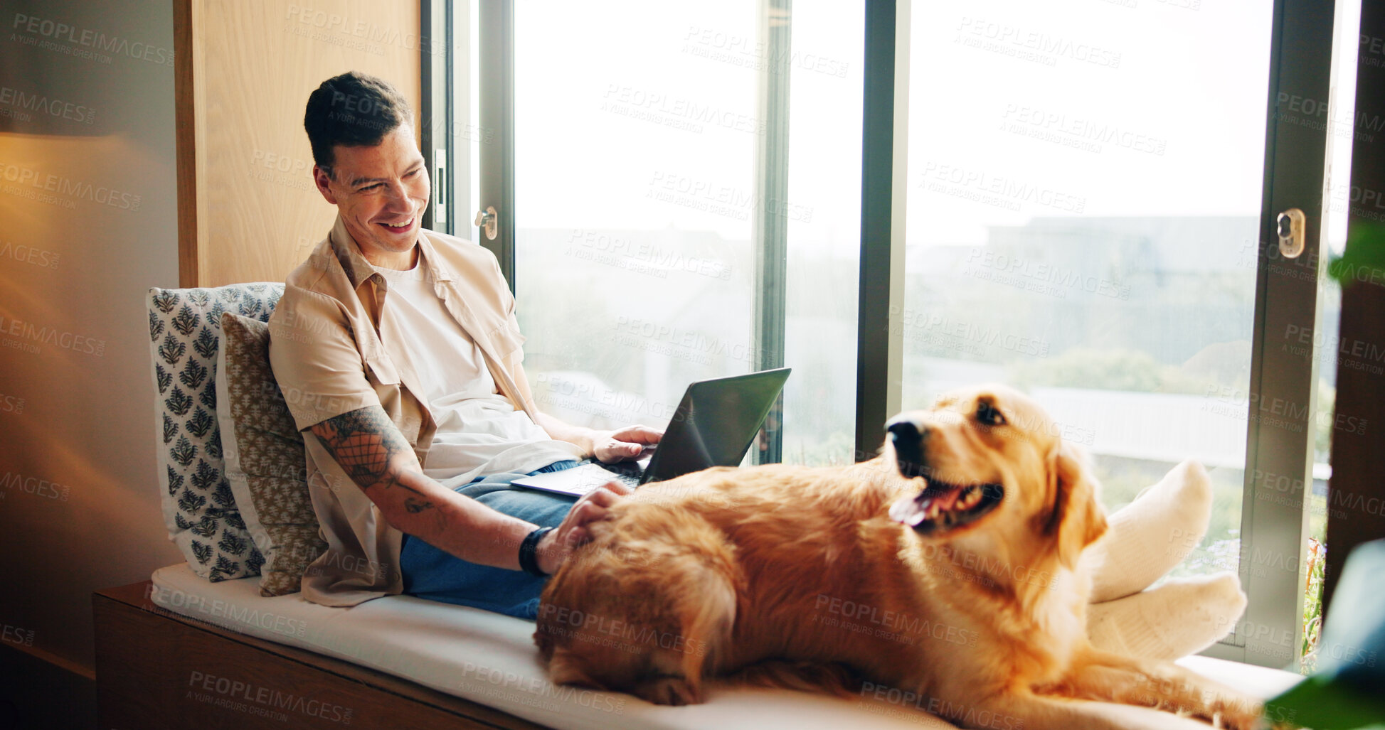 Buy stock photo Happy, dog and man with laptop, home and patting of animal, smile and loyalty for owner in apartment. Love, person and research for pet health insurance, online and care for companion and house