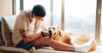 Buy stock photo Man, golden retriever and play on sofa, home or windowsill with care, connection and love in morning. Person, pet or dog with touch, stroke and relax together in living room with bonding at apartment