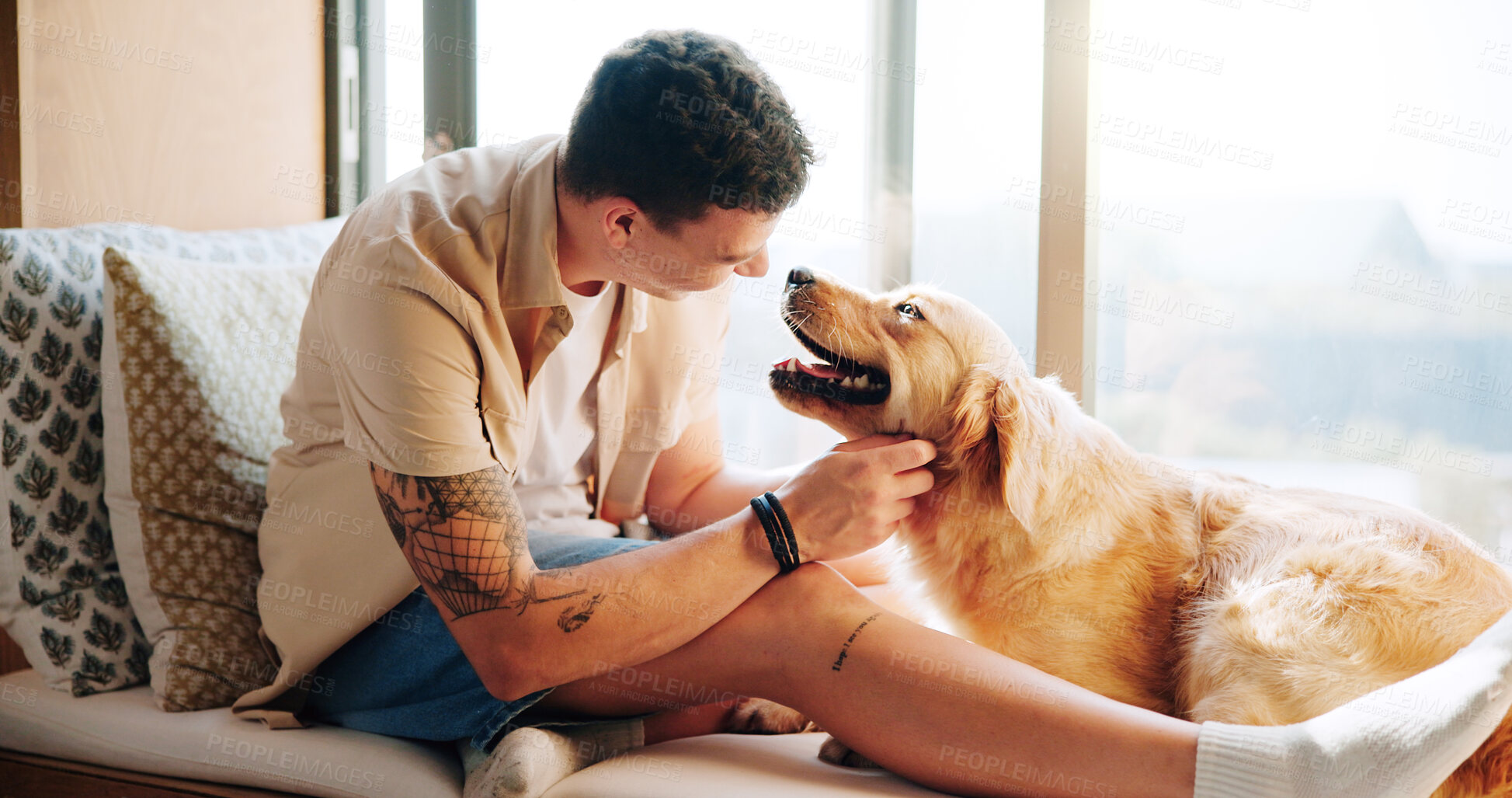 Buy stock photo Man, golden retriever and happy on sofa, home or windowsill with care, connection and love in morning. Person, pet or dog with touch, stroke and relax together in living room with play at apartment