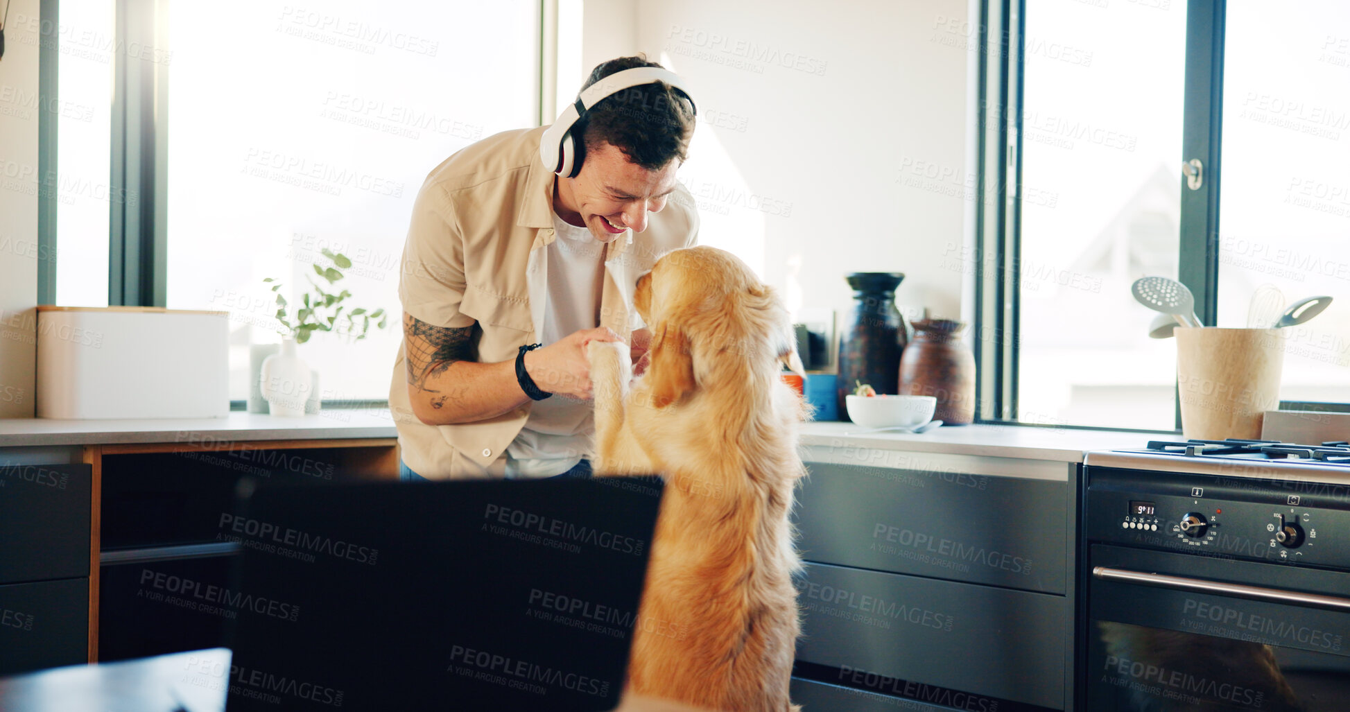 Buy stock photo Kitchen, smile and man with dog, home and bonding with animal, headphones and playing in apartment. Happy, owner and games with companion, fun and listening to music, person and love for pet in house