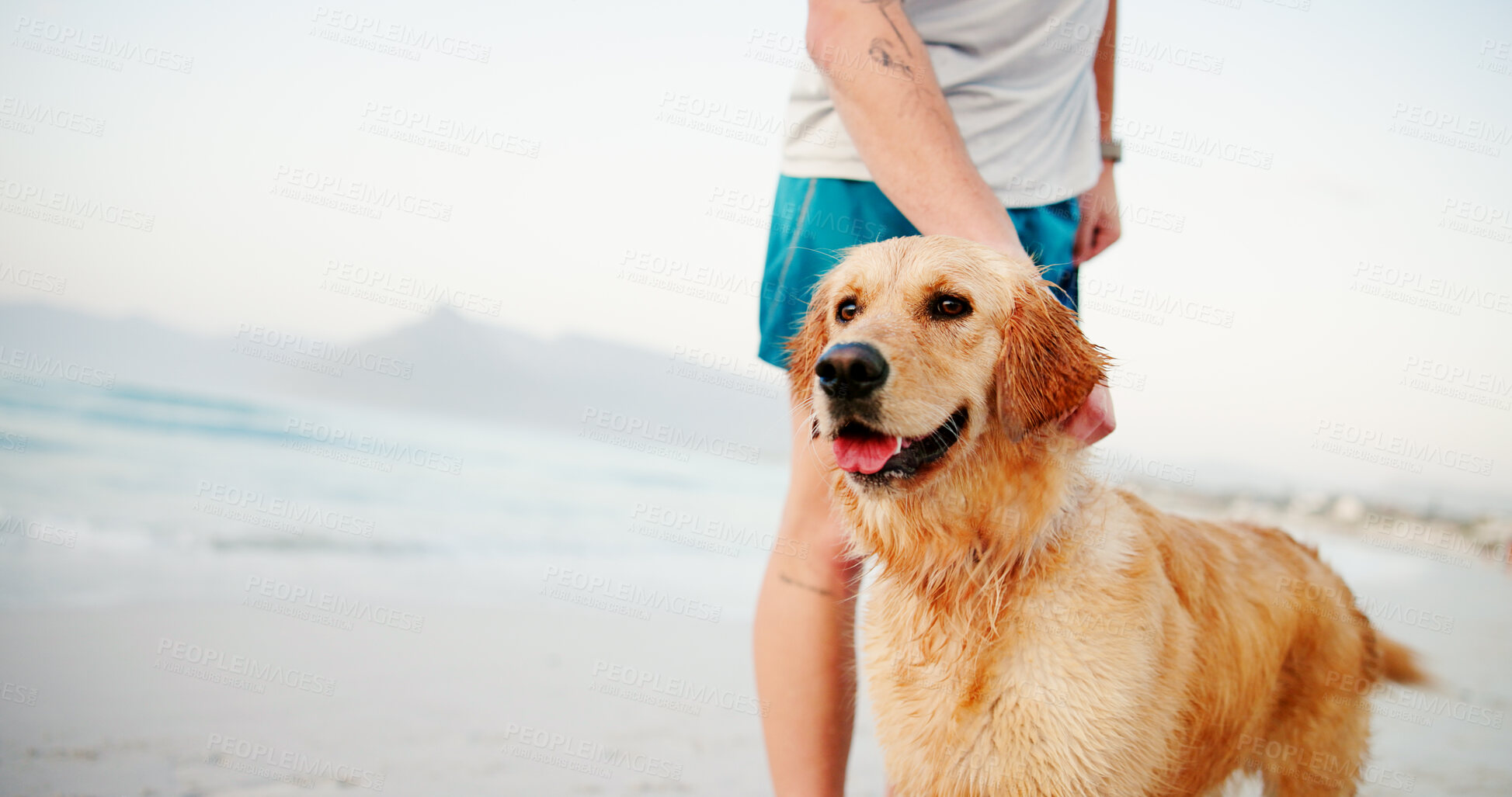 Buy stock photo Beach, person and bonding with dog, vacation and relax with animal, summer and  travel with owner. Trip, outdoor and companionship with pet, love and care in nature, sea or golden retriever in Brazil