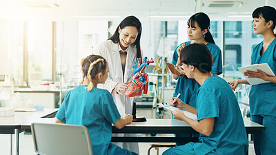 Buy stock photo Learning, professor and students with heart in hospital for lesson, education or practical training. People, study and healthcare group with mentor in cardiology with human model at college in Japan.