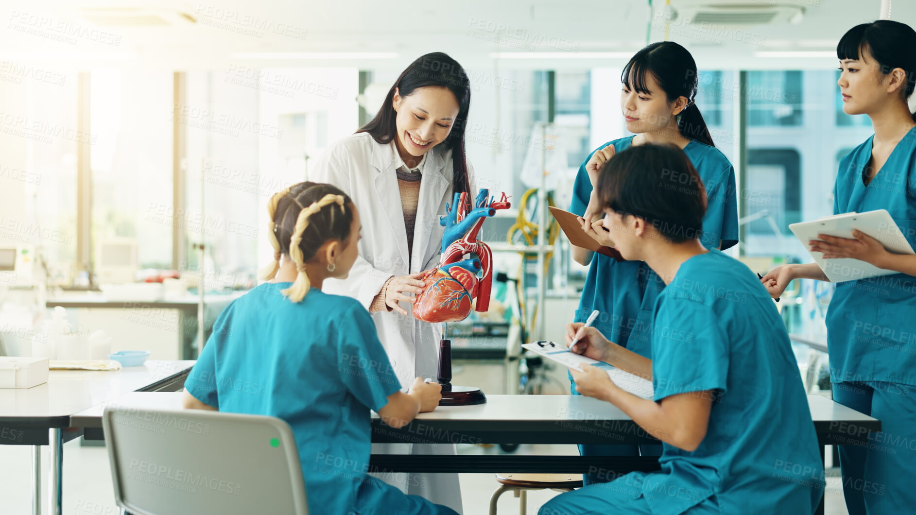 Buy stock photo Learning, professor and students with heart in hospital for lesson, education or practical training. People, study and healthcare group with mentor in cardiology with human model at college in Japan.