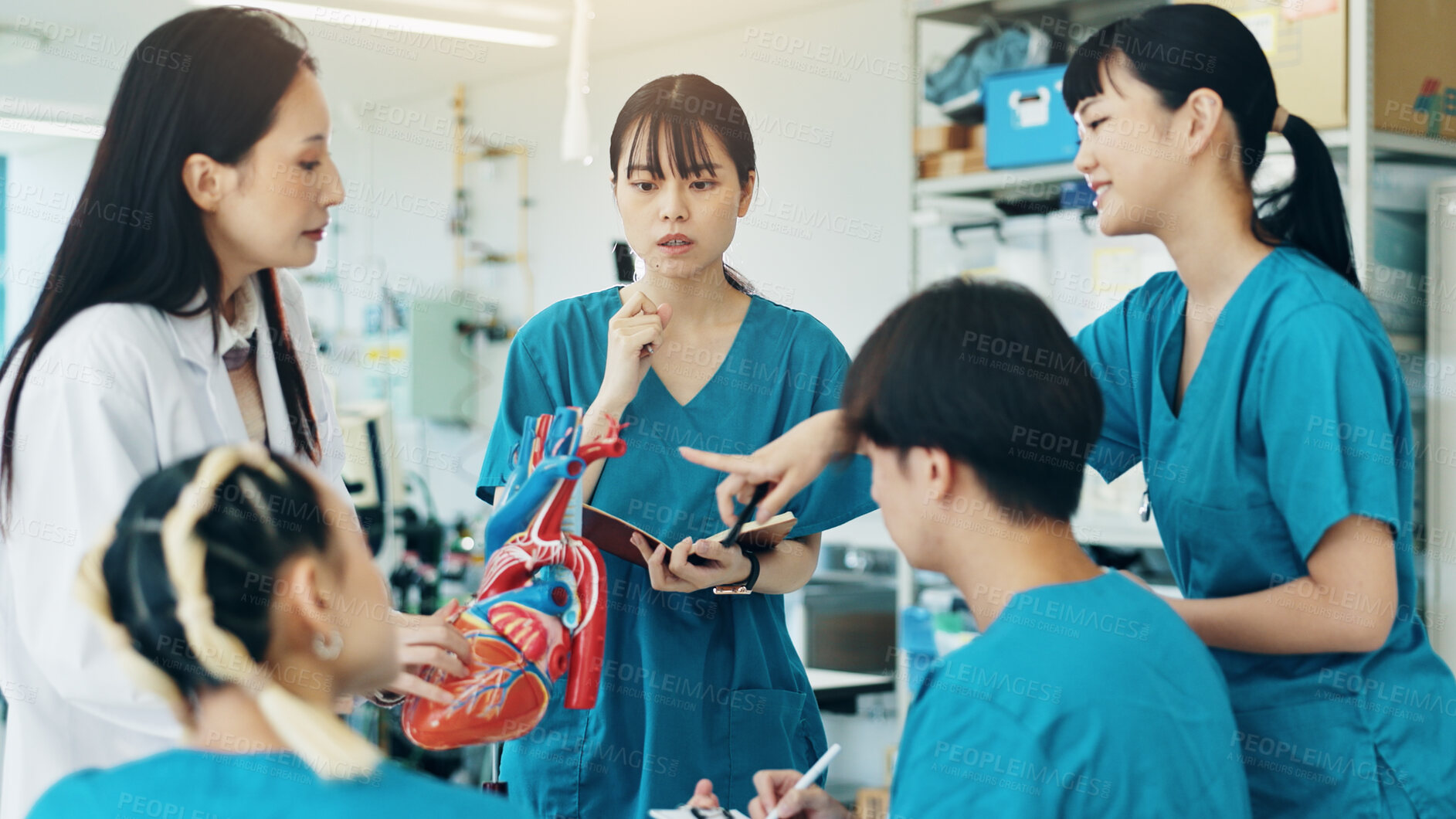 Buy stock photo Professor, students and heart for medical lecture, education or practical assignment in teaching hospital. Healthcare, learn and group with doctor for training on cardiac model at university in Japan