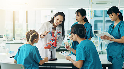 Buy stock photo Doctor, medical school and heart for science, education or practical training in hospital as student. People, learning and healthcare for wellness, knowledge and cardiology with human model in Japan