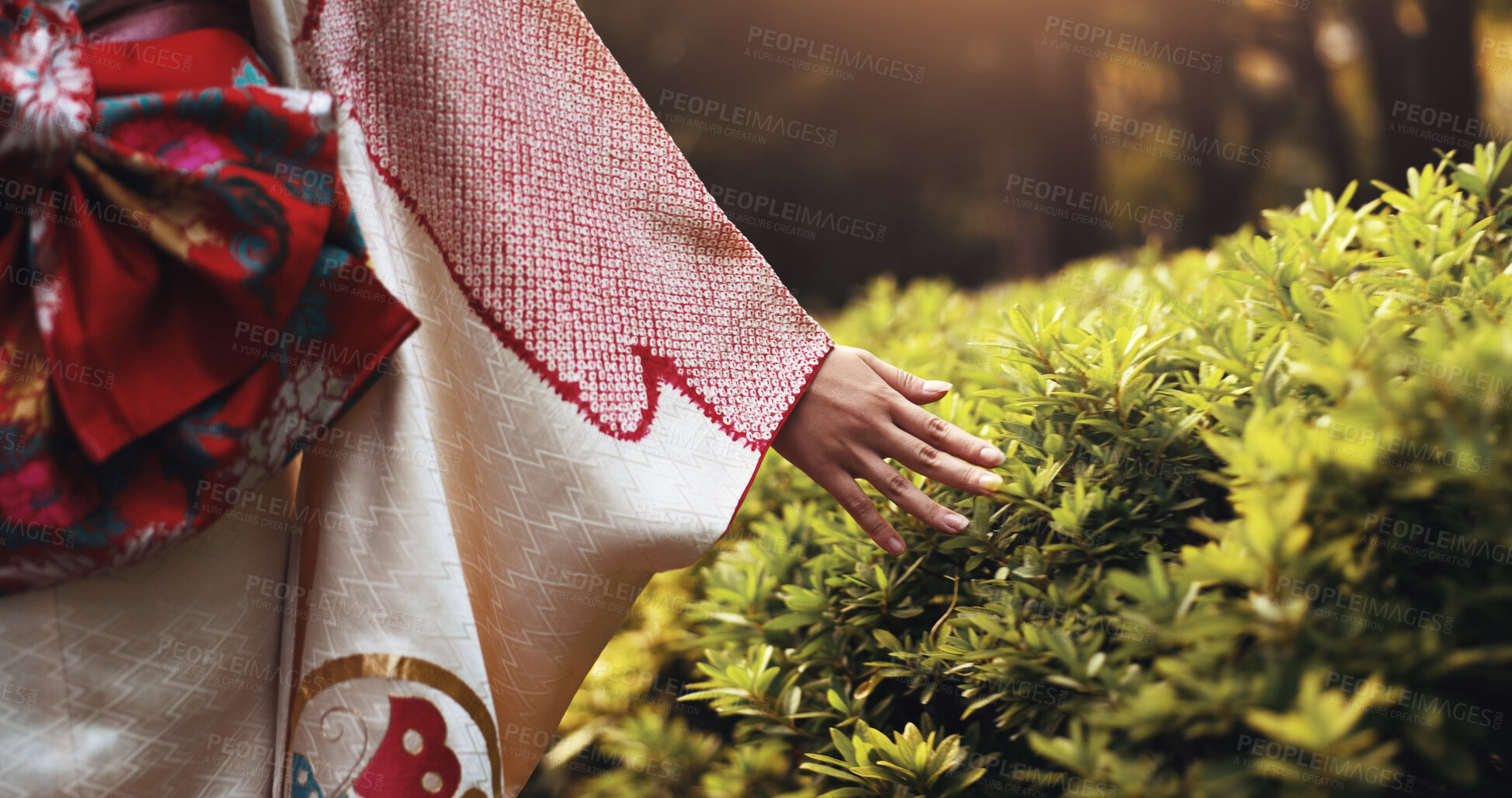 Buy stock photo Outdoor, park and woman hand with plant touch, fashion and travel with trip and holiday in Tokyo. City, kimono and weekend with journey, nature and traditional clothes with adventure and style