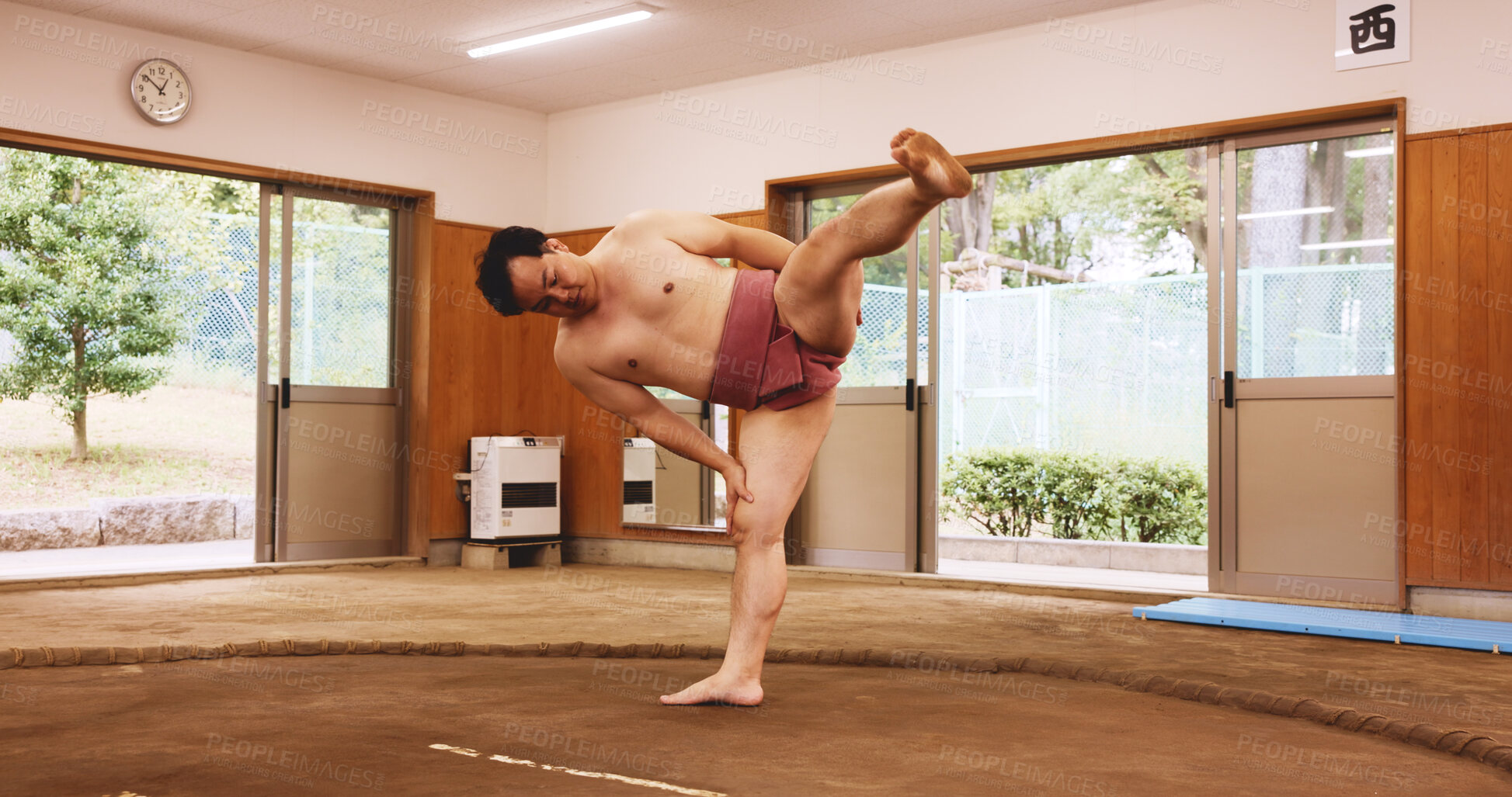 Buy stock photo Sumo wrestler, stretching and man in studio, training and wellness with traditional sports. Japan, festival and person with competition, game and practice for skills, dohyo ring or culture with arena