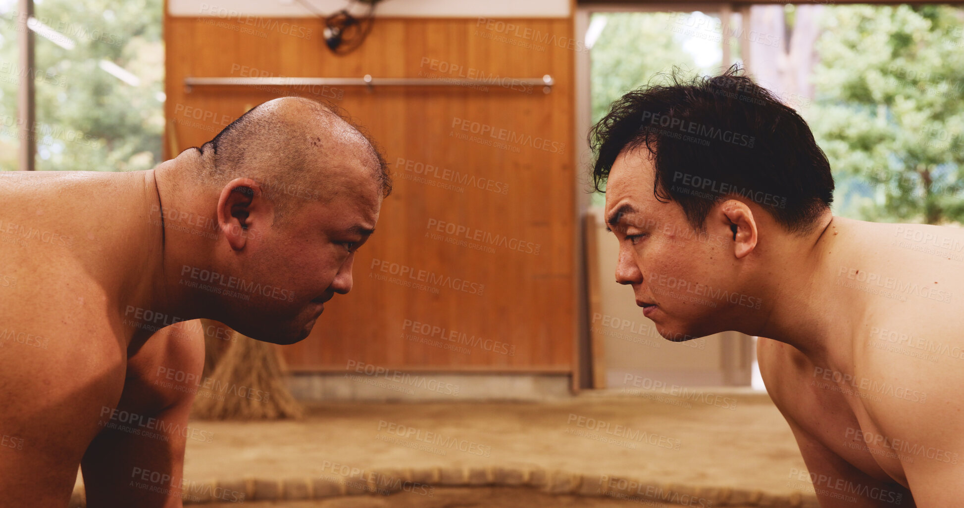 Buy stock photo Japanese men, sumo wrestling and fight for exercise, tradition and culture in dohyo ring. Asian people, sport and wrestlers training for combat competition, performance and martial arts for fitness