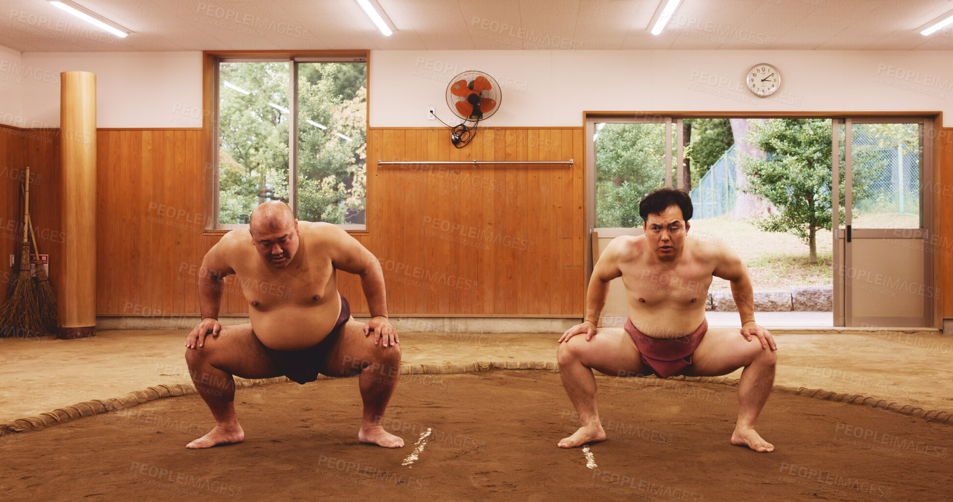 Buy stock photo Sumo wrestler, stretching and team with Japanese people in dojo ring for shiko ritual, training or martial arts fight. Tournament, challenge and battle with men for festival, warm up and culture